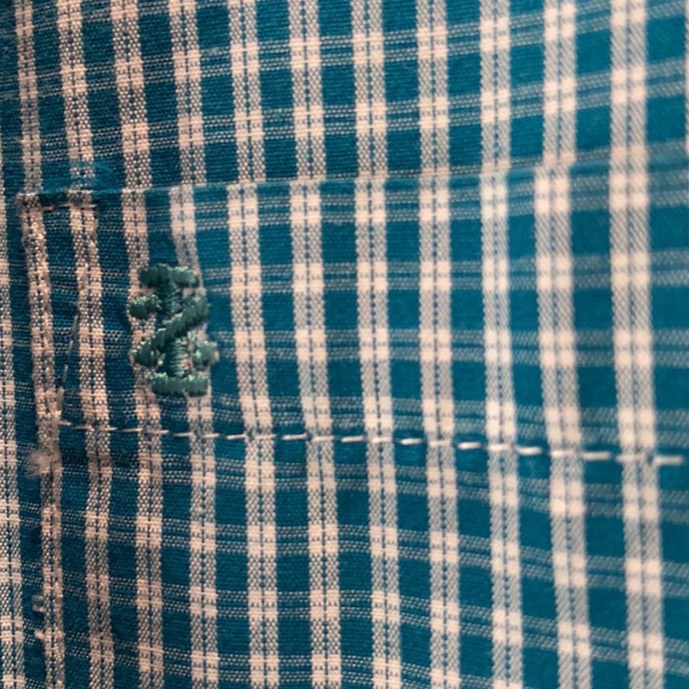 Button Down - Picture 3 of 4